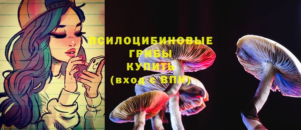 спайс Алексин