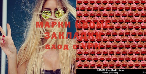 амф Алзамай