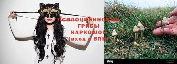 герыч Алексеевка
