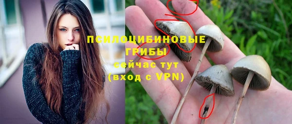 амф Алзамай