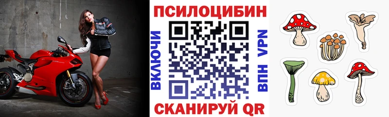 Галлюциногенные грибы Magic Shrooms  Аргун 